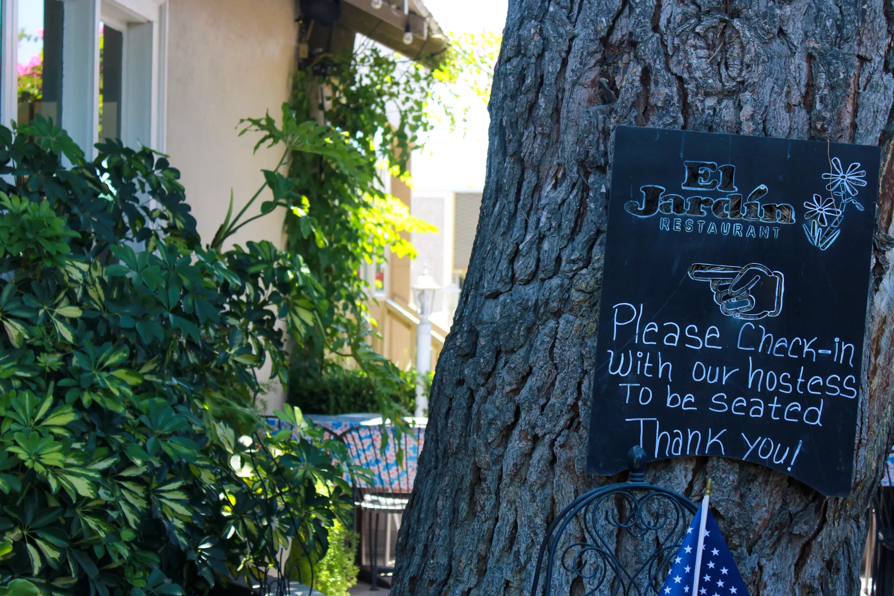 Hand-painted check-in sign on a tree in El Jardín's garden